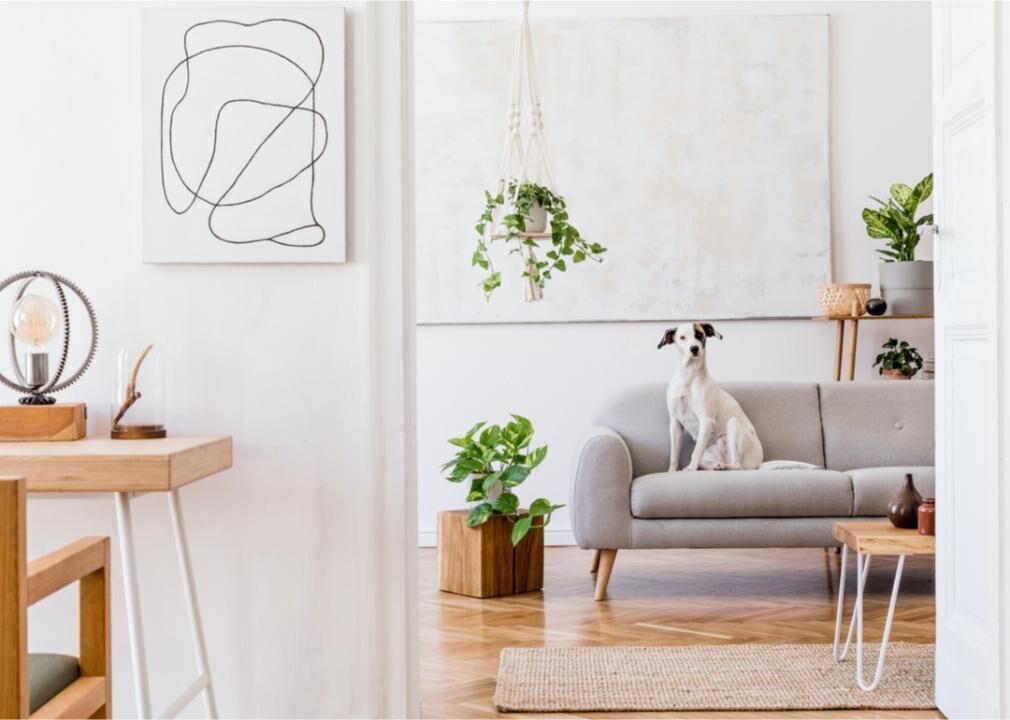 2020s: Defined spaces and natural materials